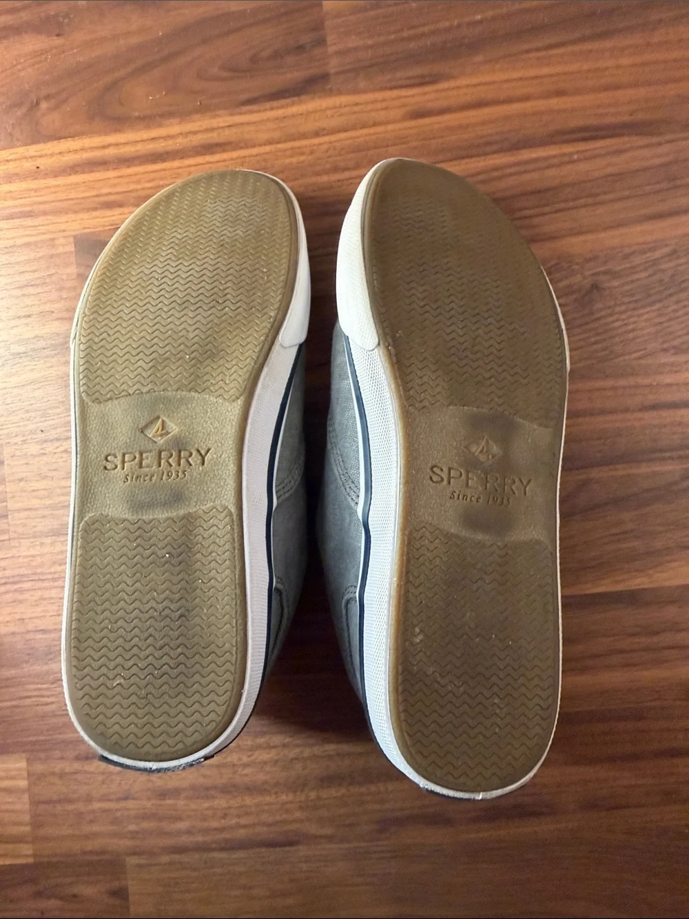 Sperry casual canvas